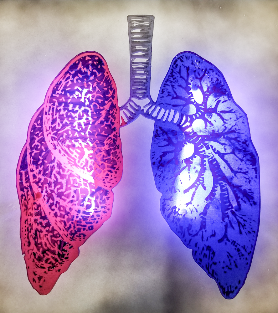 Contemporary mixed media lung sculpture for healthcare or home décor