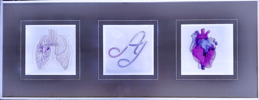 Jake Ashley's original "Holograms in a Box" – interactive sculpture with beating heart, breathing lungs, and animated logo